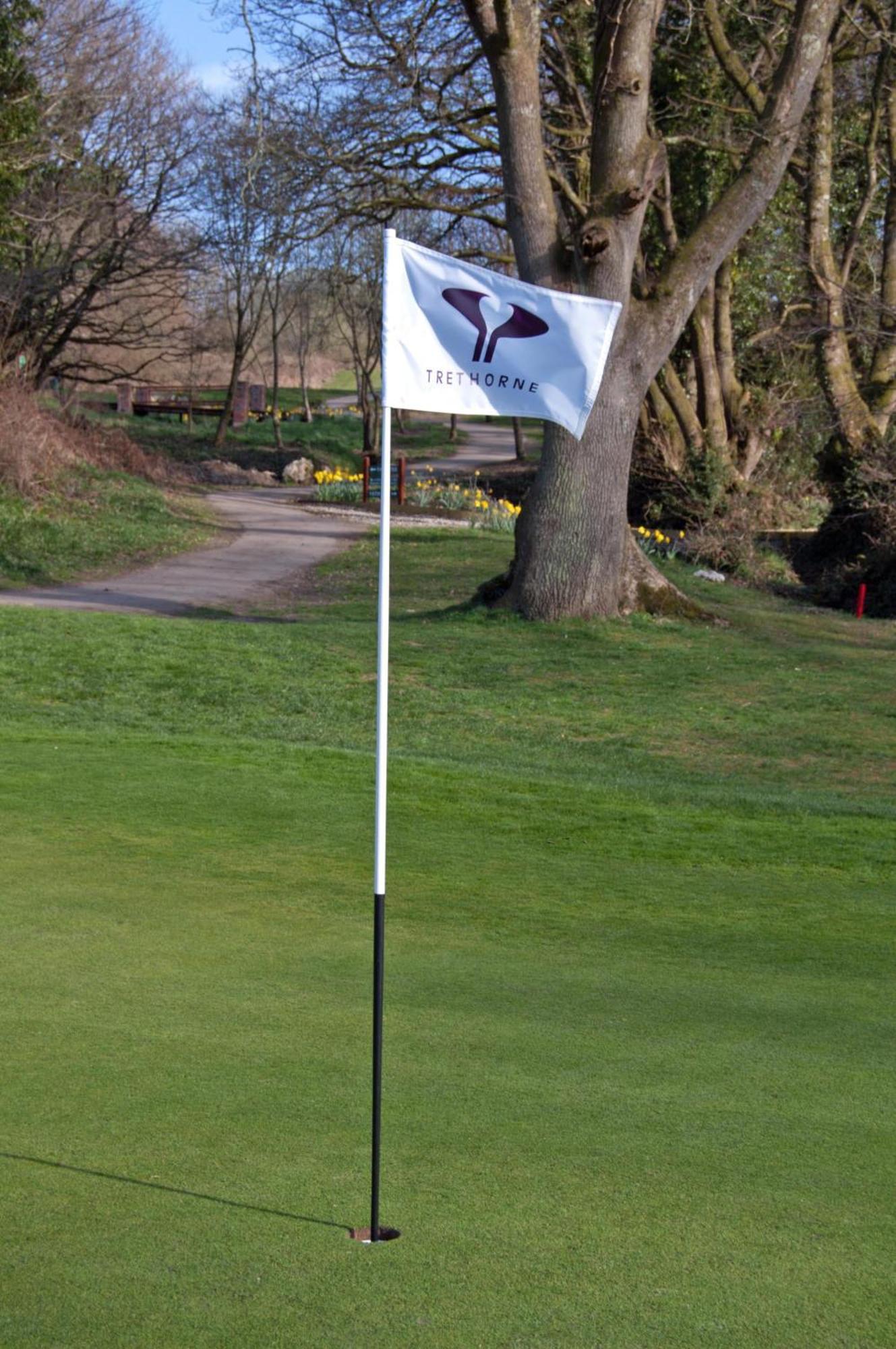Trethorne Hotel & Golf Club Лонсестон Экстерьер фото