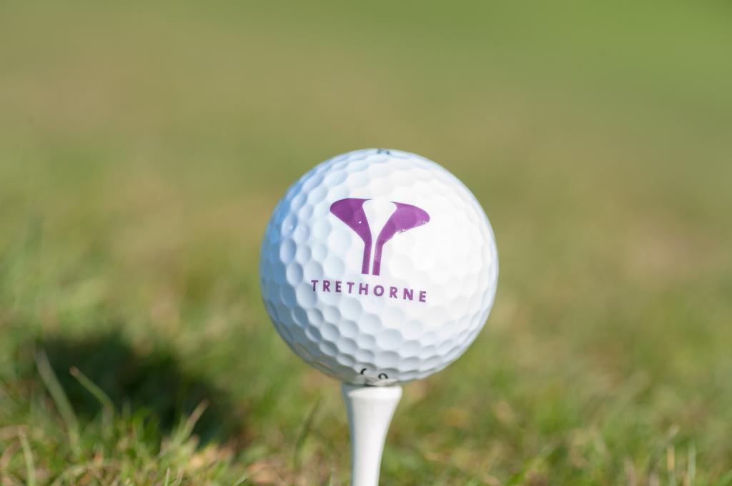 Trethorne Hotel & Golf Club Лонсестон Экстерьер фото